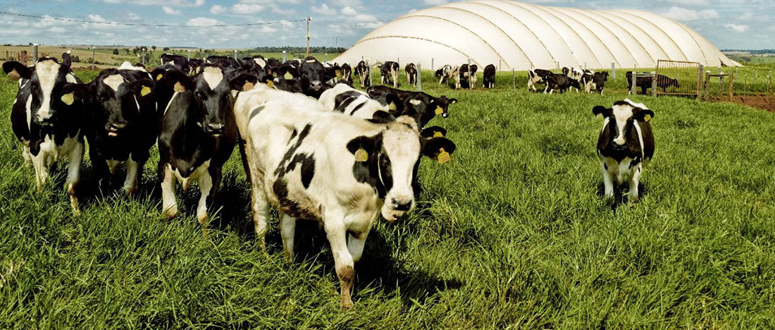 El sudeste bonaerense, sede de un evento clave para el futuro del campo y el ambiente