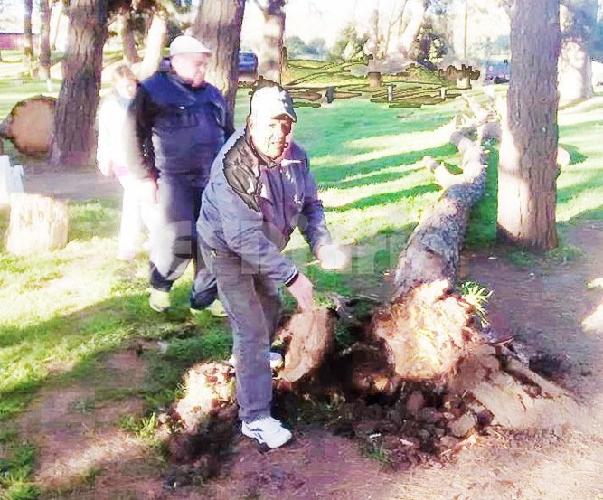 Si se puede evitar, no es un accidente