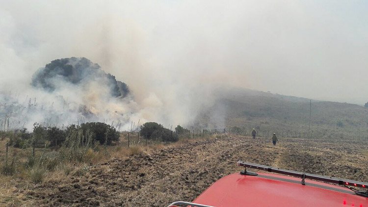 Más de 24 horas necesitaron los Bomberos para extinguir el fuego en sierra La Chata