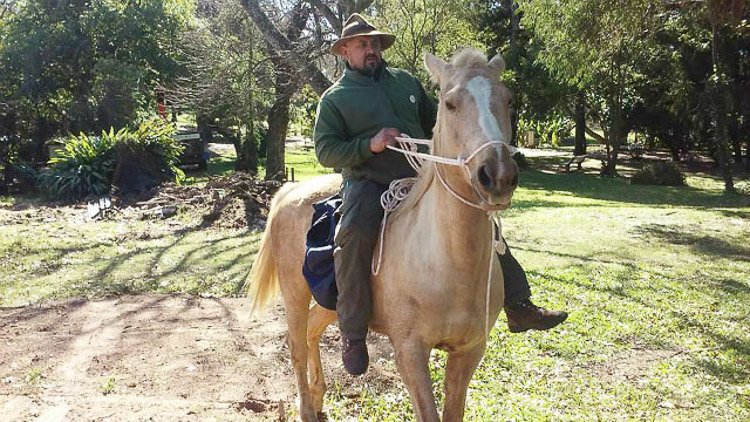 Ante reiterados incendios intencionales reclaman la presencia de guardaparques