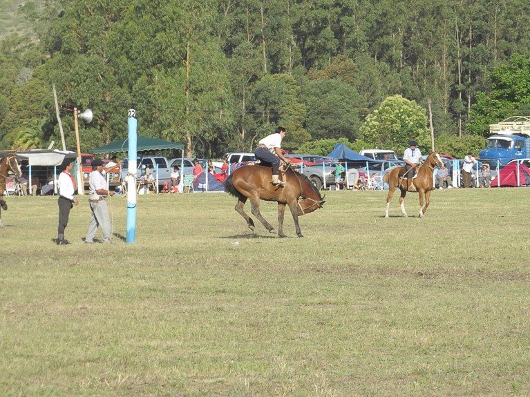 Comienza esta noche la reprogramada fiesta de los "Gauchos de Balcarce"
