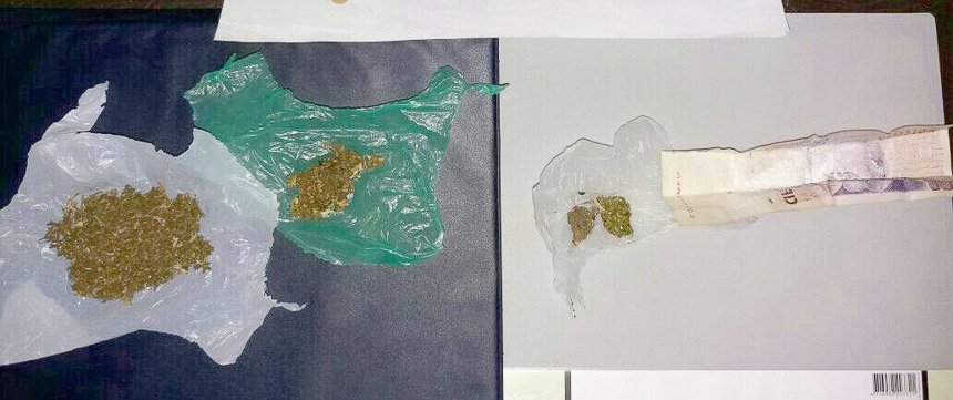 Varios detenidos con cocaína y marihuana