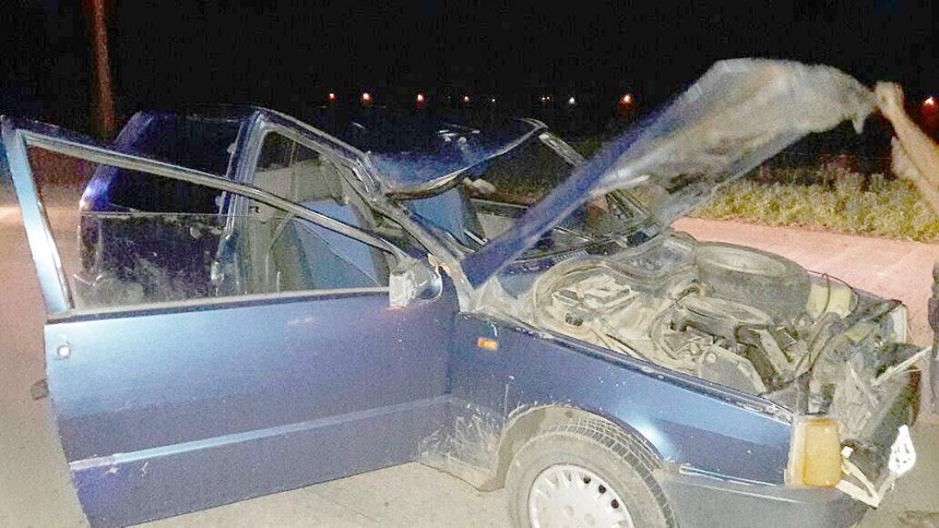 Auto impactó a un caballo