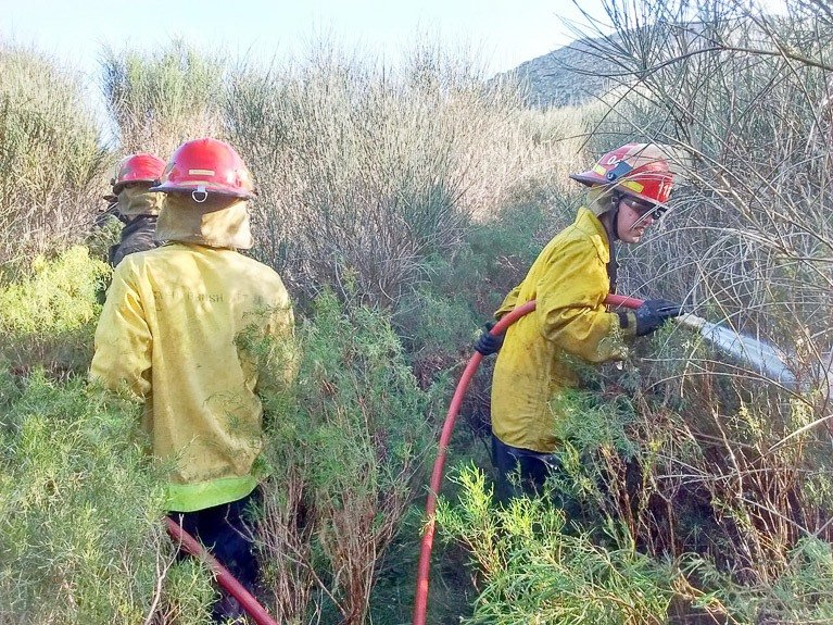 Fuego en El Mirador
