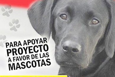 En el Concejo se avecina una tarde «de perros»