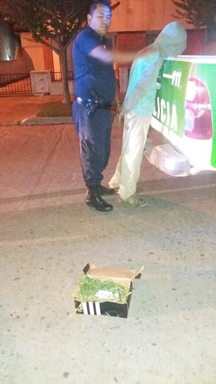 Ocultaba marihuana y cocaína;  fue detenido cuando intentaba huir 