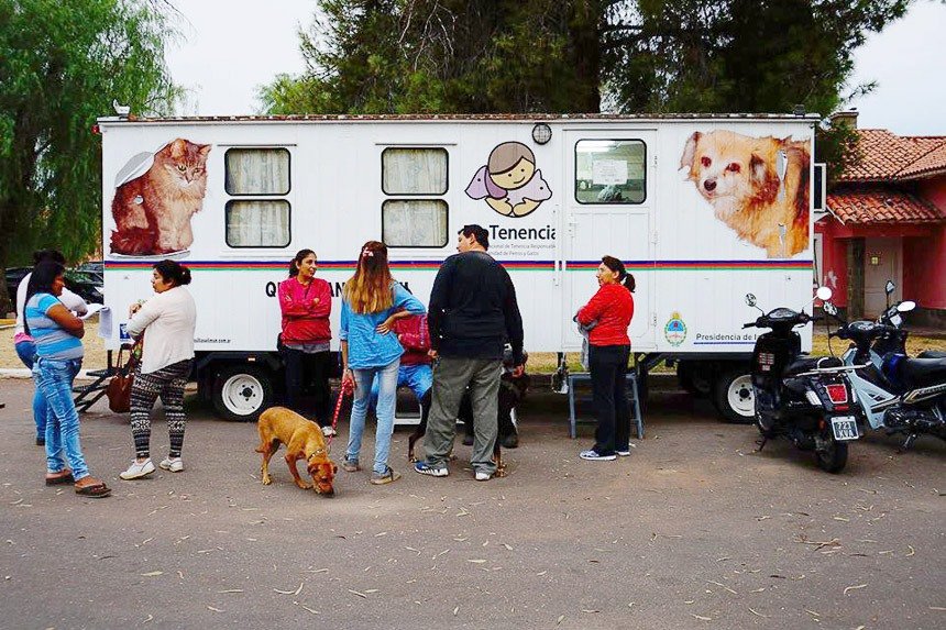 Con la llegada de un quirófano móvil se realizará  una campaña de castración de perros y gatos 