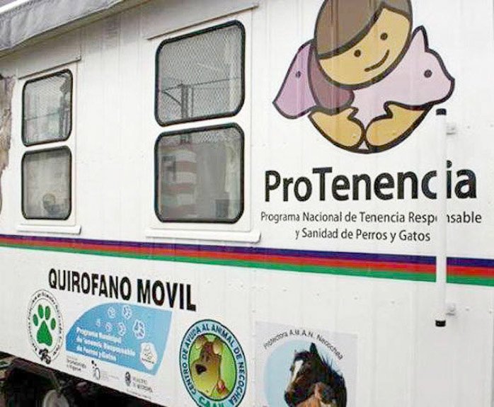 Los días viernes, sábado y domingo próximos se realizará la castración gratuita de mascotas