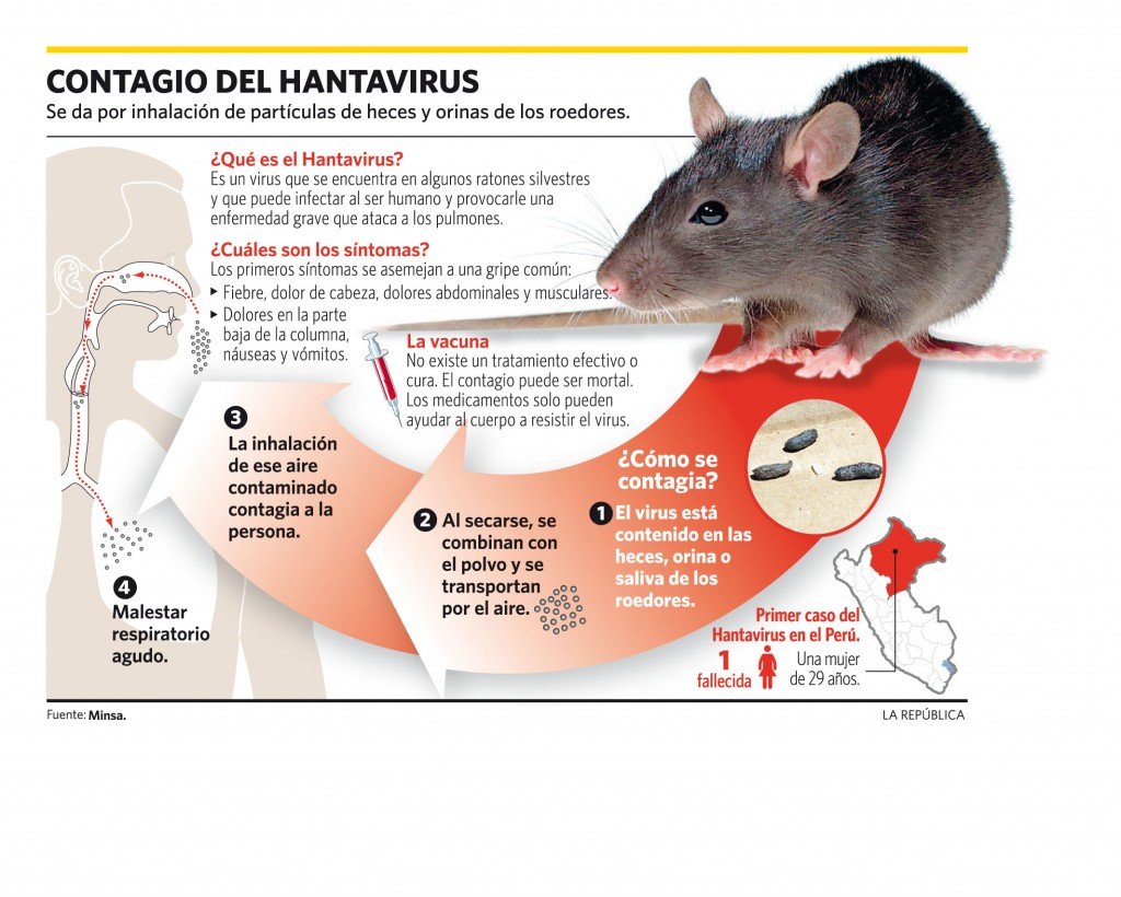 Un paciente que se encuentra internado en el  Hospital podría estar afectado de hantavirus
