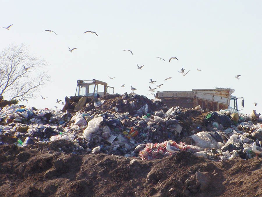 Le queda poca vida al basural