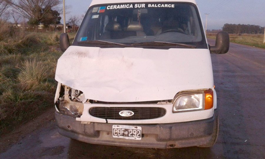 Un equino suelto causó un accidente