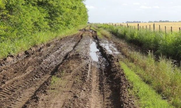 Complicado panorama presentan los caminos rurales del distrito