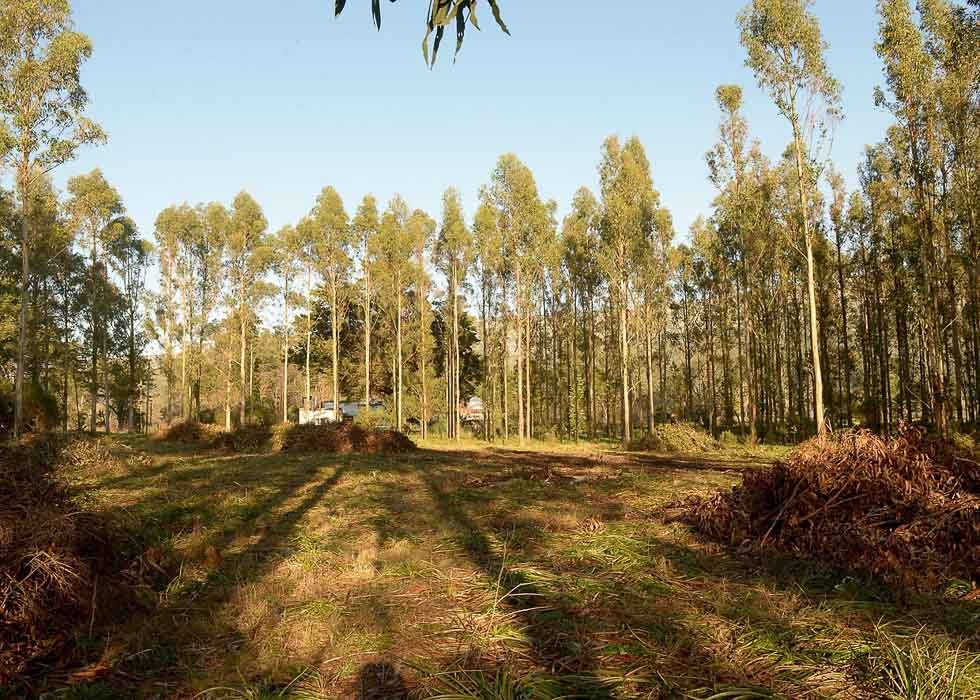 La Coop. de Electricidad intensifica tareas con  miras a la construcción del cementerio de nichos