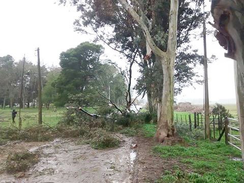 Temporal de viento y lluvia provocó la voladura de techos y otros inconvenientes