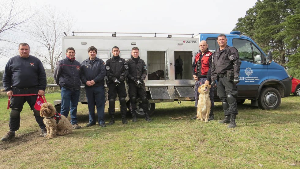 Sabuesos listos para el rescate
