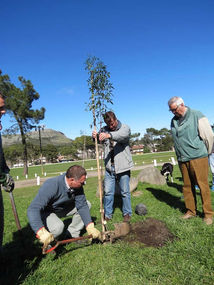 Invitan a forestar la ciudad