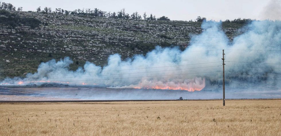Incendio de proporciones en sierra La Vigilancia