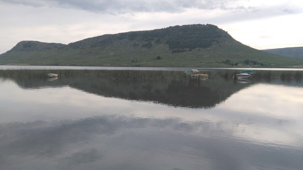 Analizan si los peces de laguna La Brava están contaminados con agroquímicos
