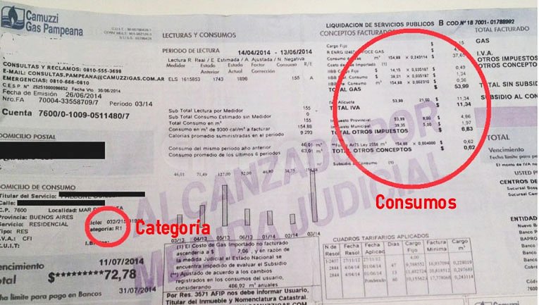 La Defensoría del Pueblo iría a la  Justicia para frenar la suba del gas