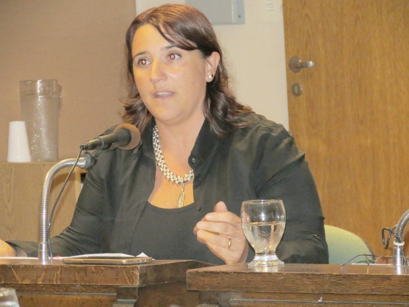 Transporte: la oposición cuestiona  la falta de previsión del Ejecutivo