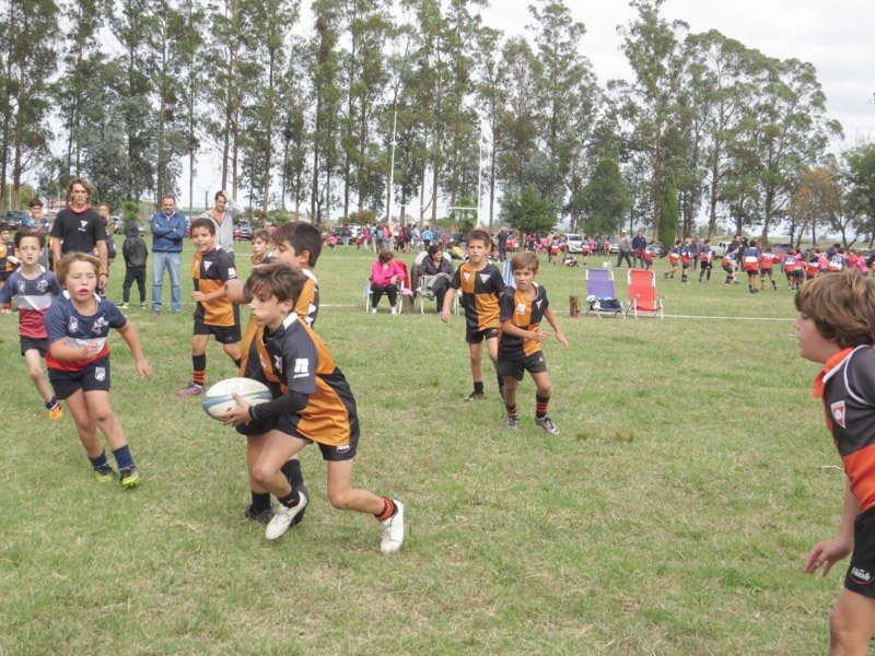 Multitudinario encuentro de rugby infantil 