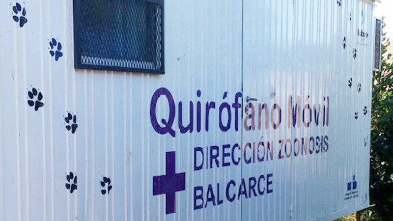 Continúa el programa de castraciones gratuitas 