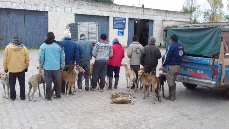 Patrulla Rural demoró a  más de 35 cazadores furtivos
