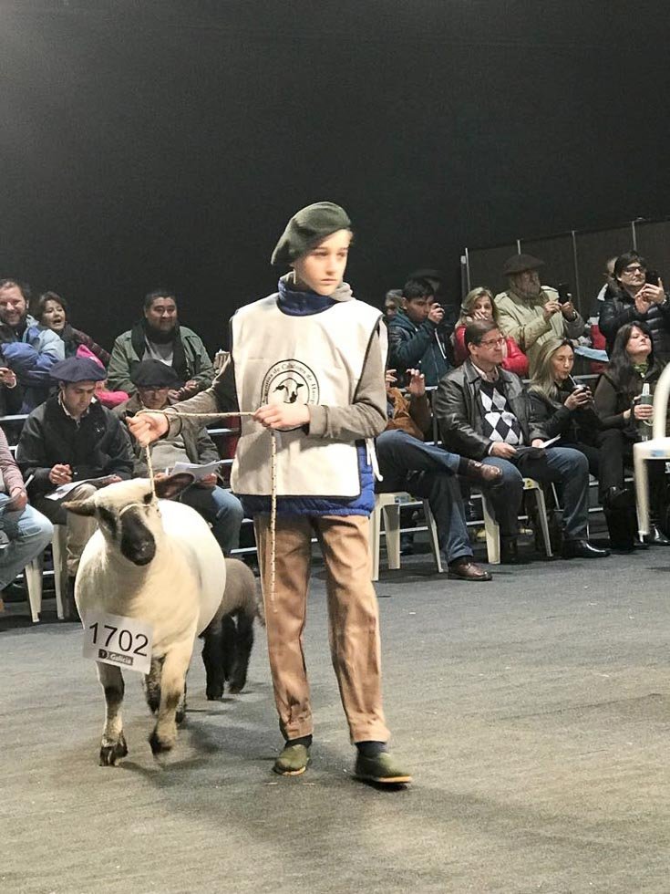 En Hampshire Down, premios para "La Maruca"
