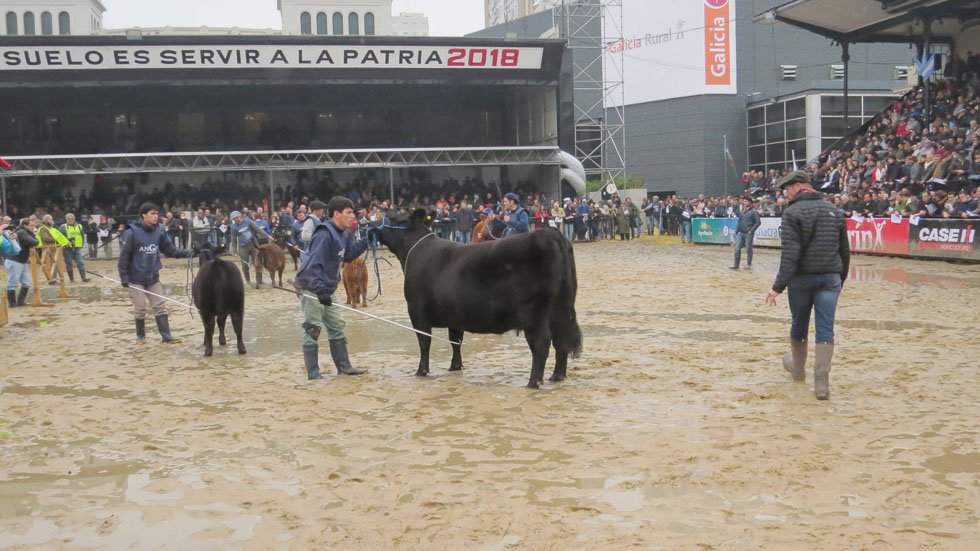"Inambú" revalidó su nivel de excelencia