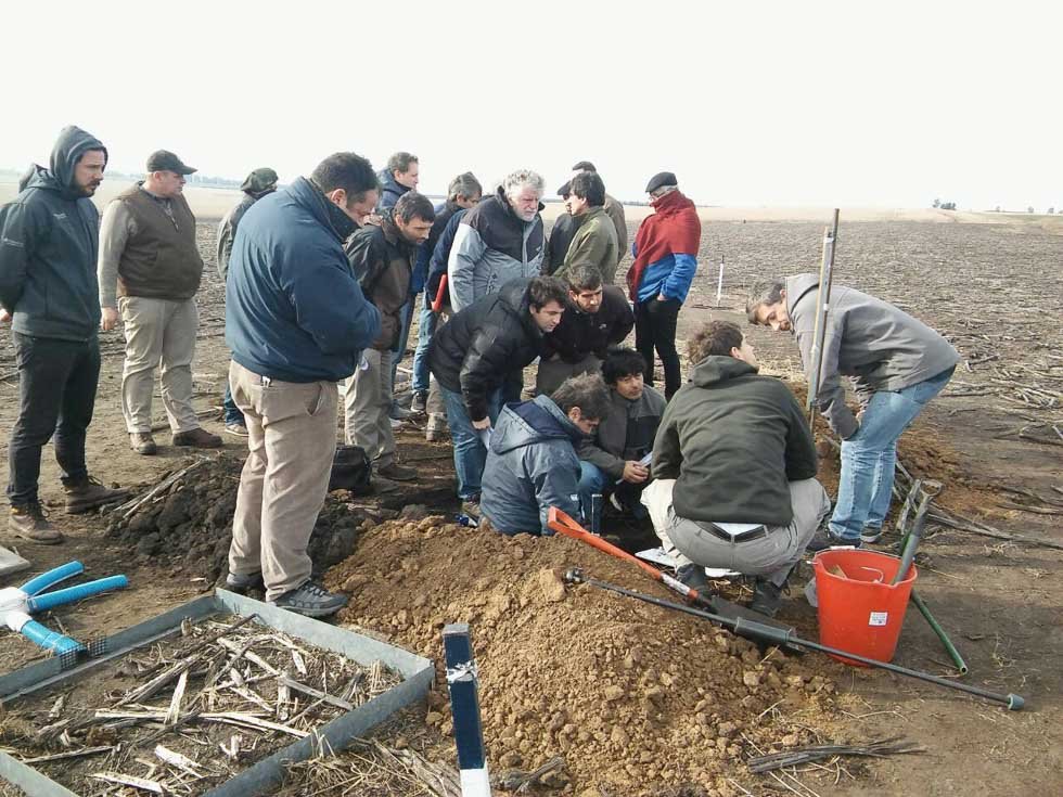 Factores ocultos en la degradación de tierras:  erosión hídrica y calidad física de suelos