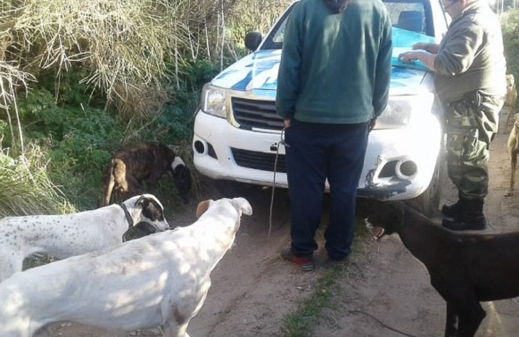 Procedimientos de  la Patrulla Rural