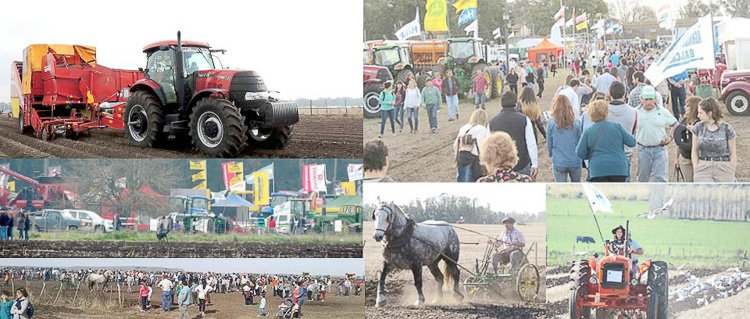 Comenzó la gran fiesta de la  Educación, el Comercio y el Agro