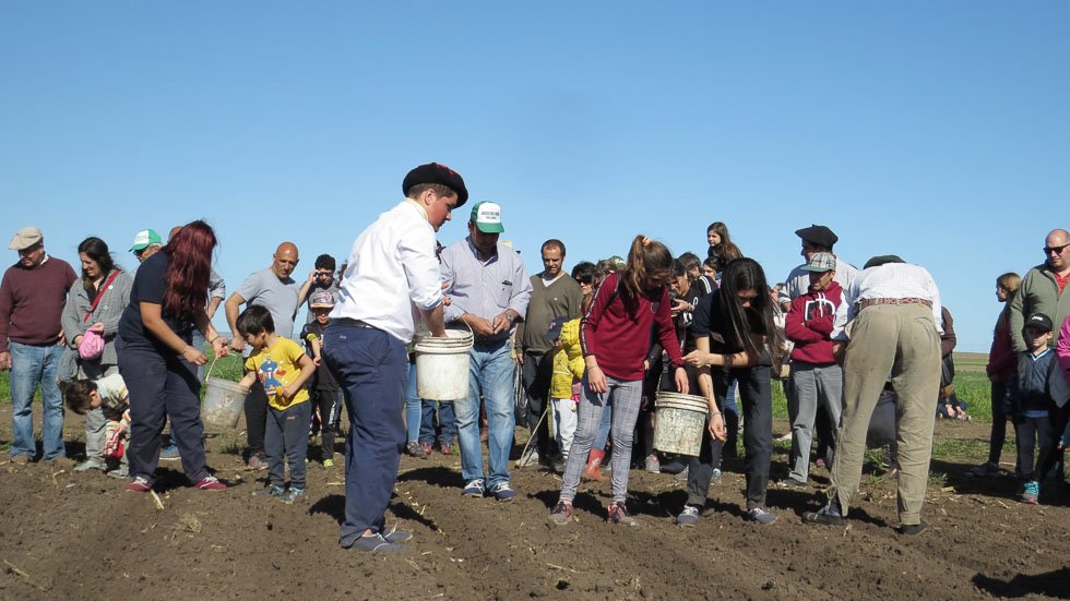El cultivo del ajo tuvo su espacio