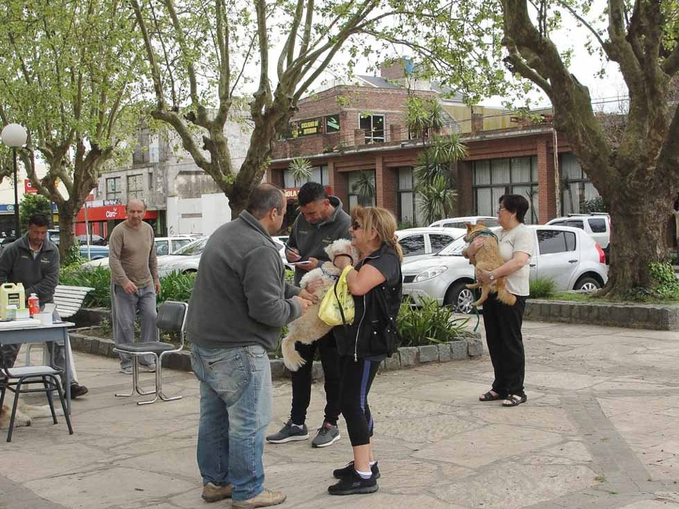 Aplicaron más de 8 mil dosis  contra la rabia a mascotas