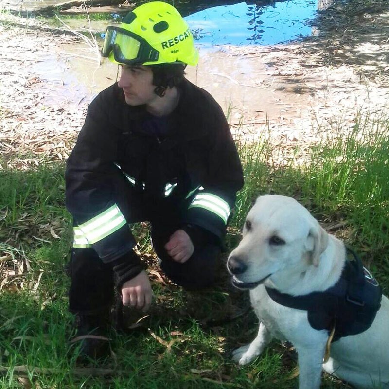La brigada canina local, en la    búsqueda de un joven en Tandil