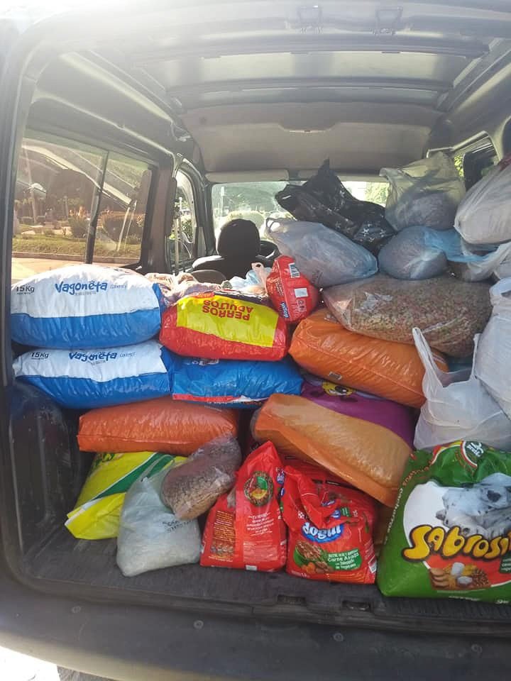 Fructífera colecta de  alimentos para mascotas