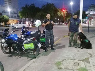 Operativos antidrogas 