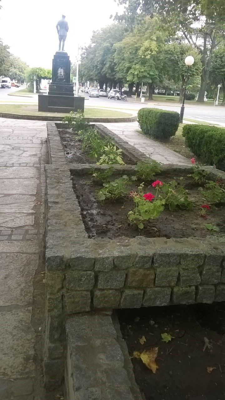 Roban plantas de cantero frente a la comisaría