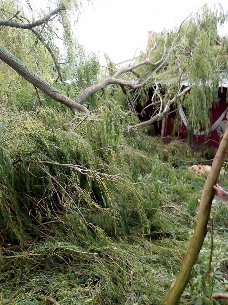 Violento temporal voló techos y causó daños en  San Agustín; Ramos Otero y varios sectores rurales
