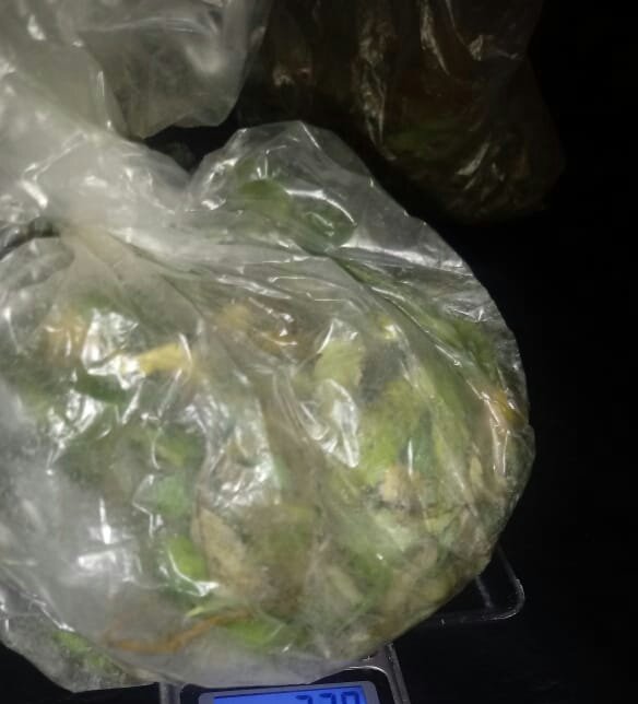 Droga: allanamiento y detención
