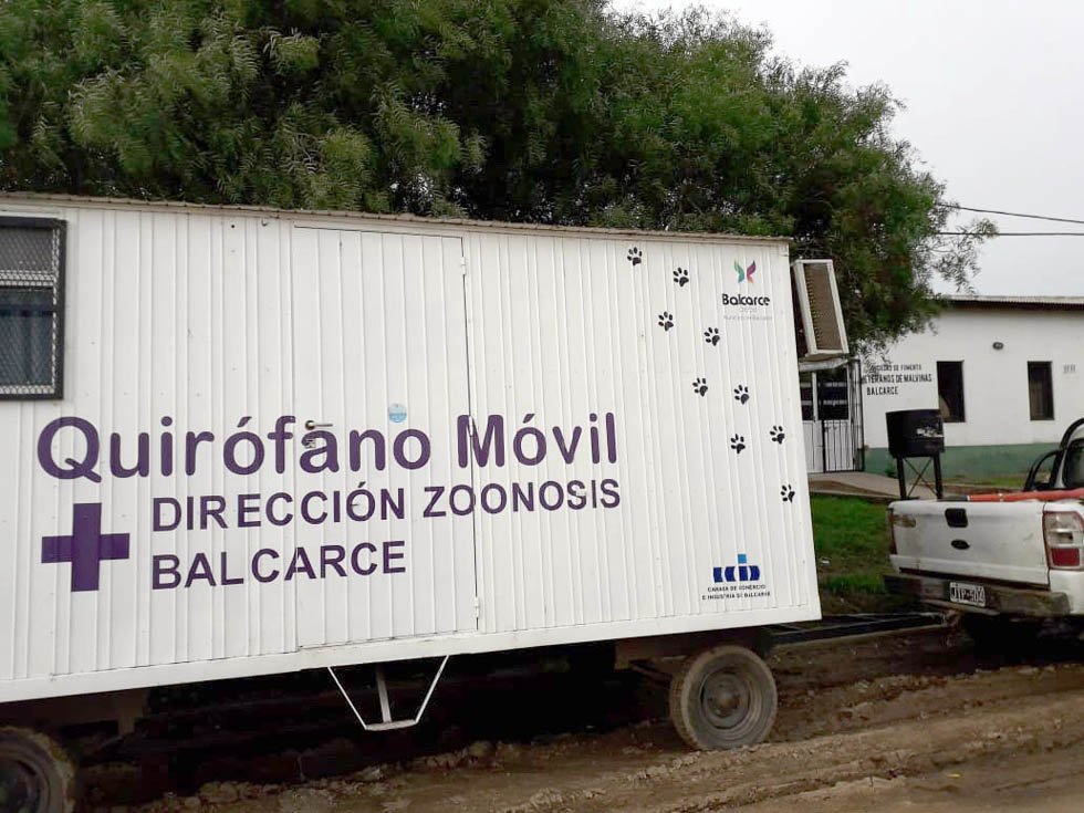 Comenzó ayer y continúa hoy la  castración en "Veteranos de Malvinas"