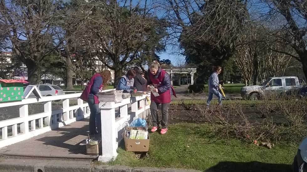 Comenzó ayer la poda anual de  los rosales de la plaza Libertad