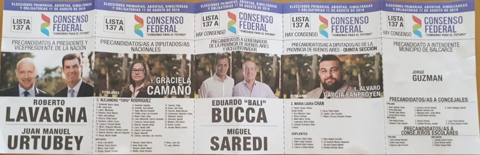 Guzmán recibió las boletas sin su imagen