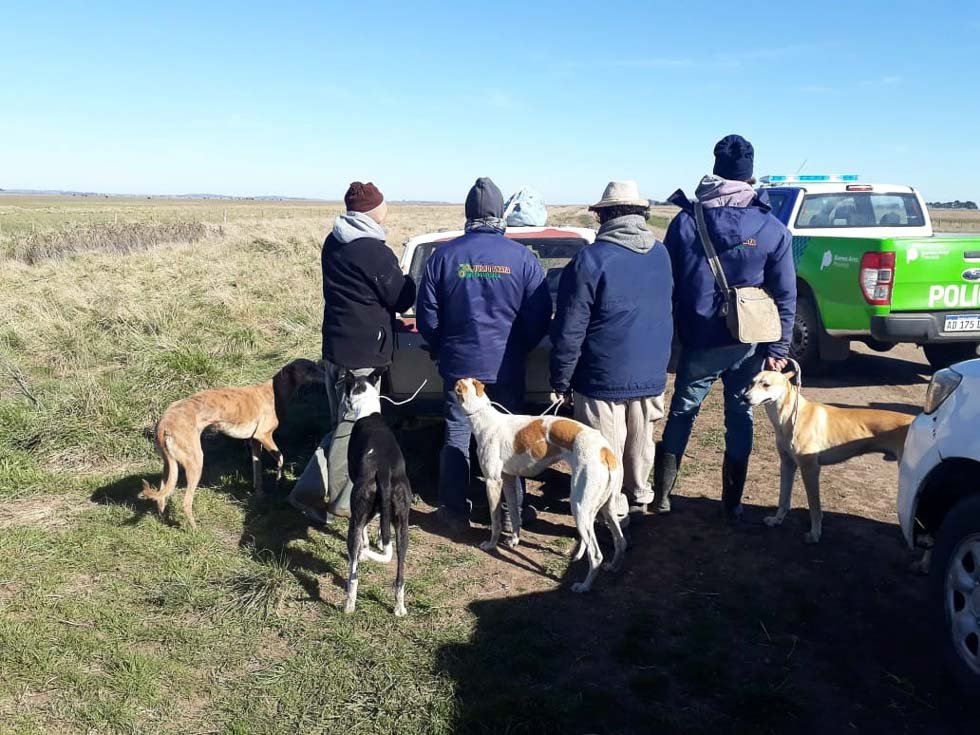 Aprehenden a más de 25 cazadores furtivos