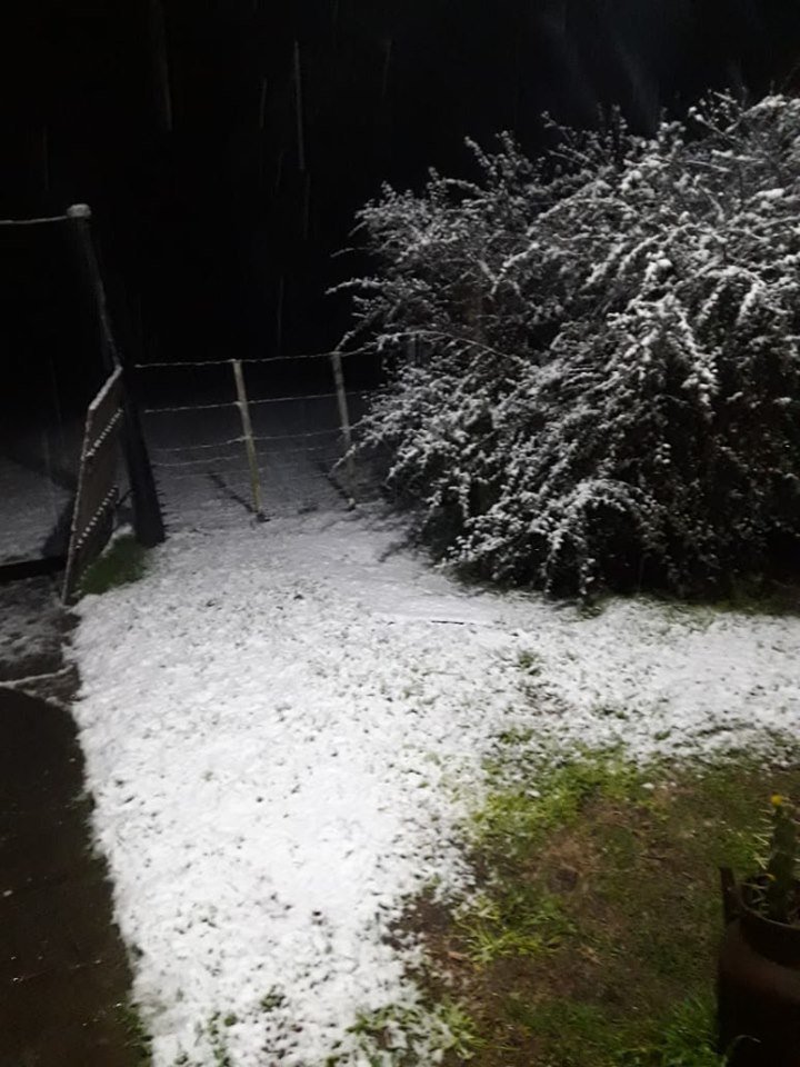 Nevó en Balcarce y la zona