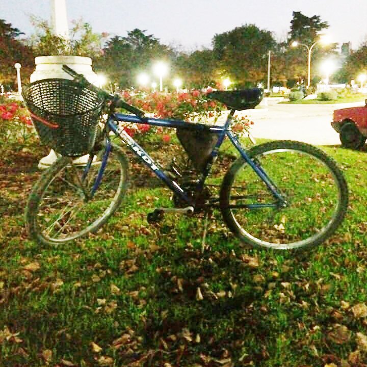 Le robaron la bicicleta, su medio para trabajar