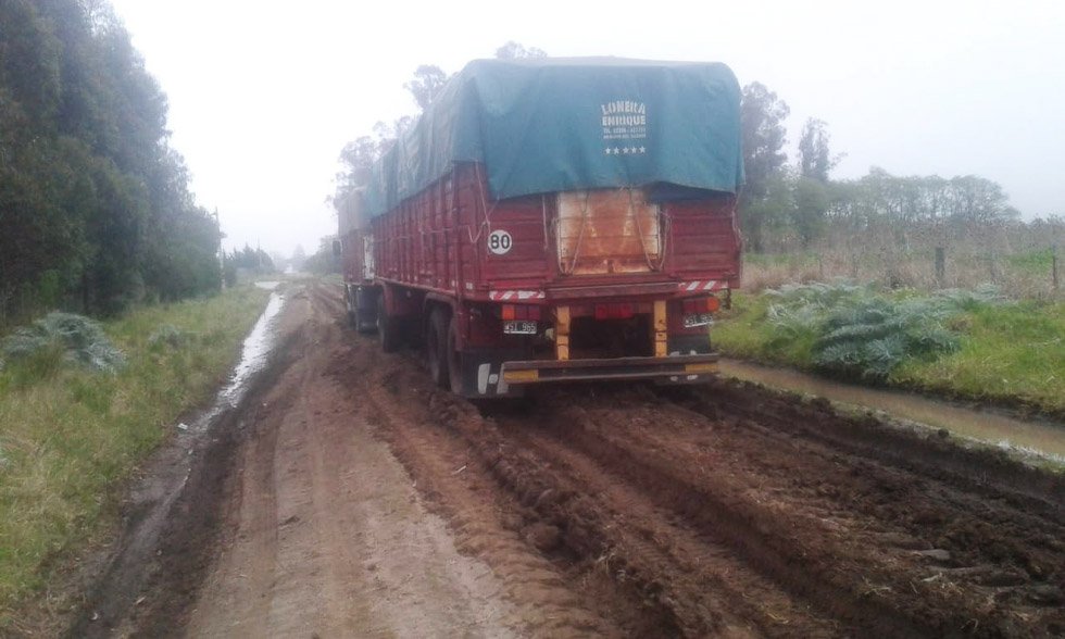 Infraccionaron a transportista