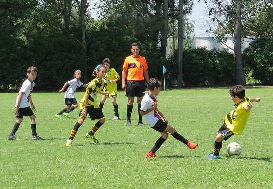 Ingresan en etapa de definición los torneos infanto - juveniles 