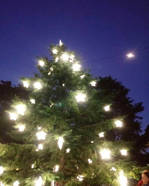 Se encendió el domingo el árbol  de Navidad en la plaza Libertad