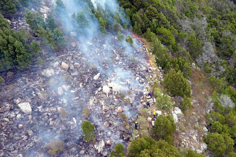 Luego de cuatro días de intensa labor se  logró extinguir el incendio en «El Dorado»